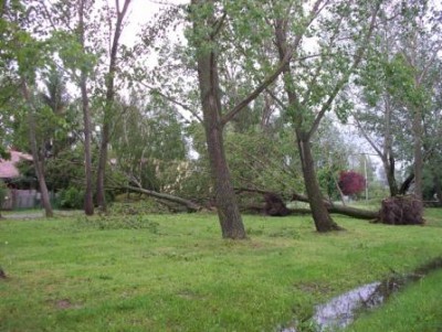S 019.jpg